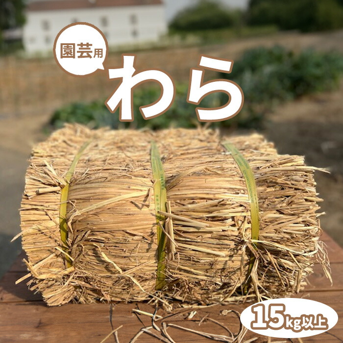 楽天市場】【最安値挑戦 !】 園芸用 藁 11kg以上ハーフカット藁 農業