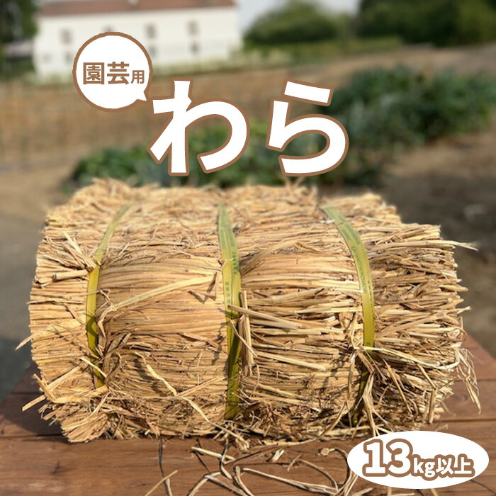 楽天市場】プレミアムUSチモシー うさぎ チモシー 1番刈り 20kg