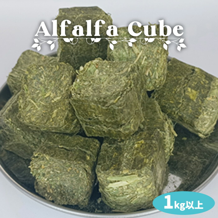 楽天市場】アルファルファキューブ／ヘイキューブ 13kg以上ヤギ うさぎ