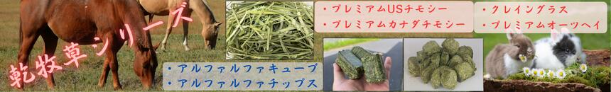 楽天市場】プレミアムUSチモシー うさぎ チモシー 1番刈り 20kg