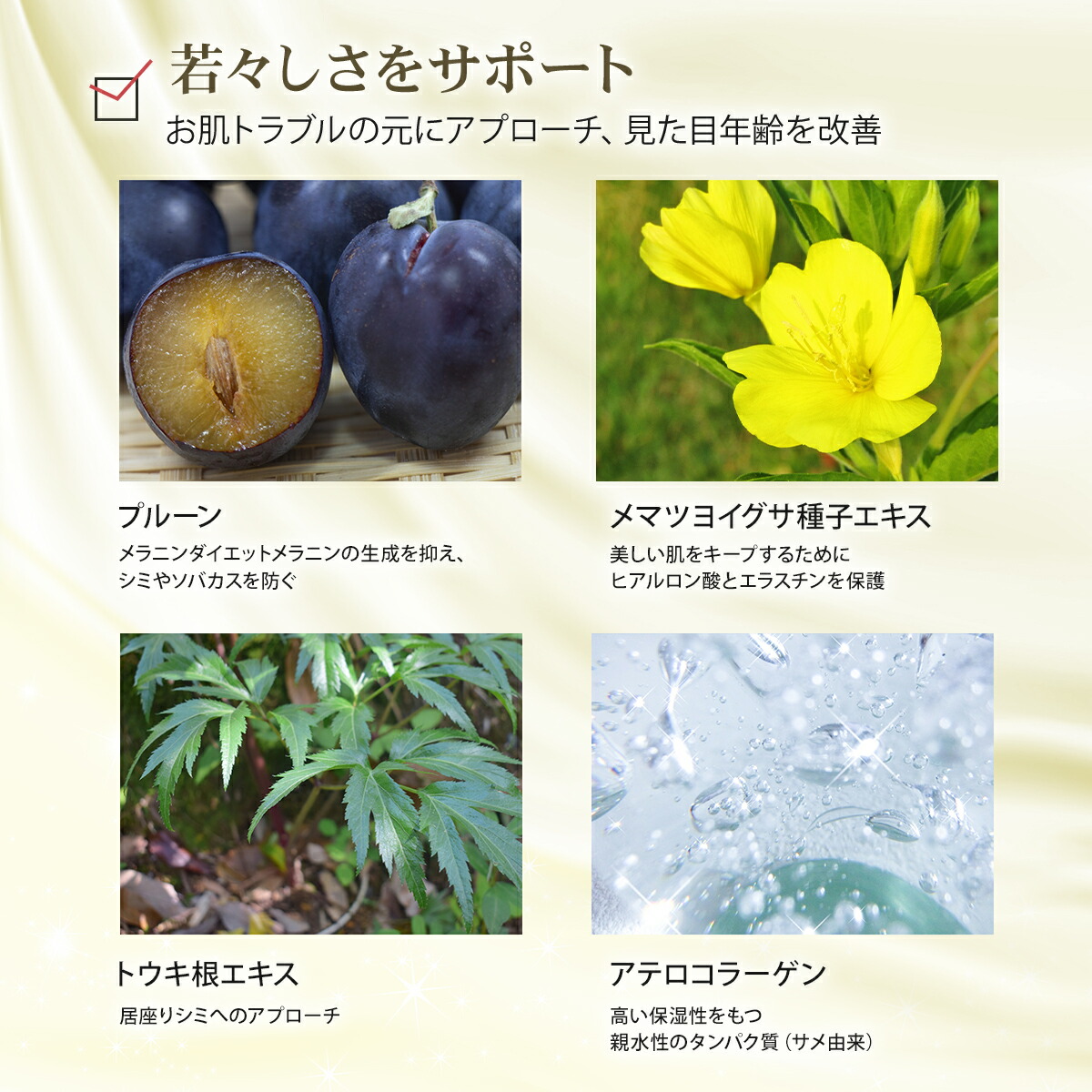 大流行中 Egf 美容液 5番 60ml 化粧品 Egf配合美容液 ニキビ跡 吹き出物 目元 しみ しわ 天然uv対策 紫外線 顔ダニ 敏感肌 ターンオーバー ニキビ ヒトオリゴペプチド 1 エイジングケア化粧品 はたけなう真心化粧品 店 宅送 Ecoton Or Id