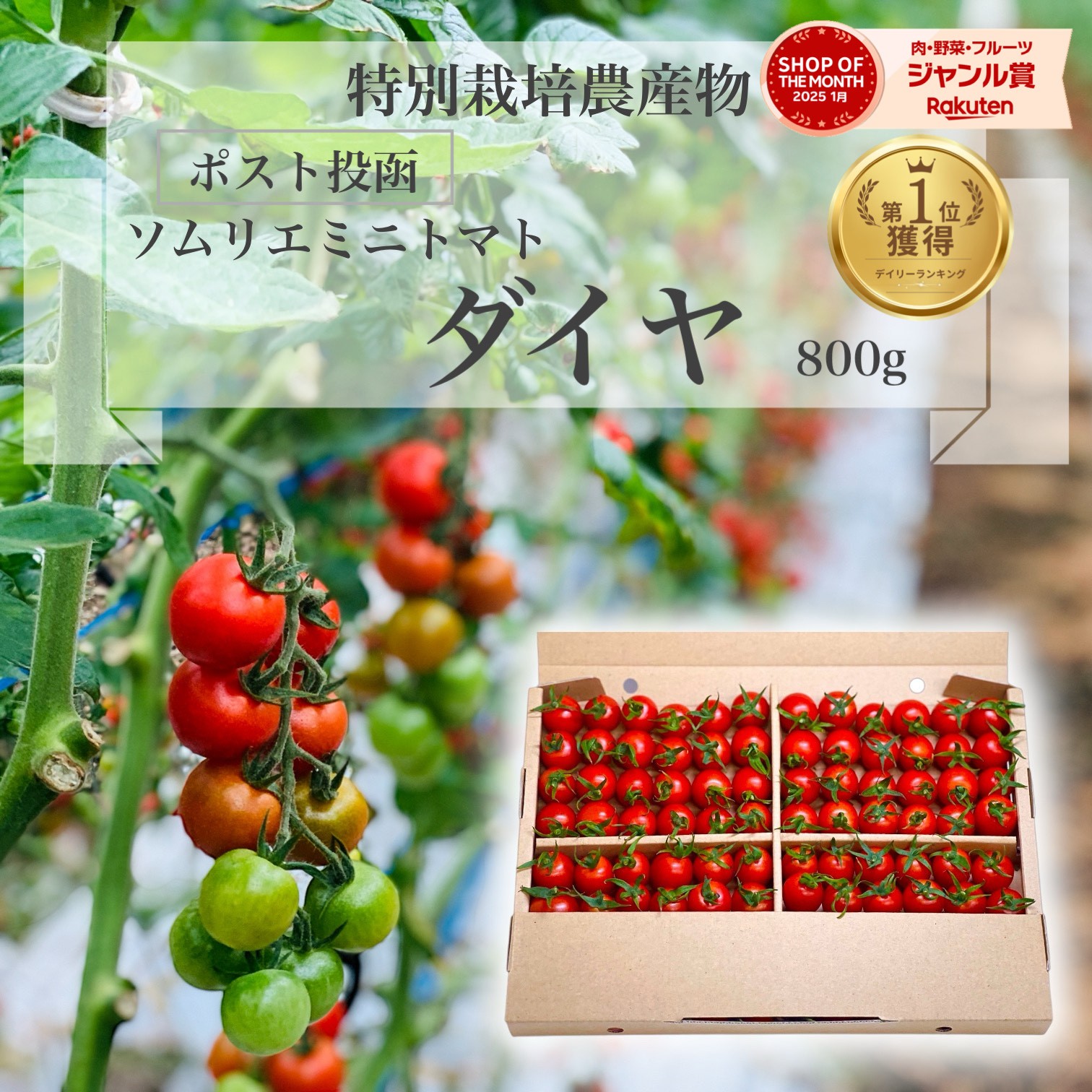 楽天市場】＼ 半額 20日で今季終了／ とまと ミニトマト 送料無料