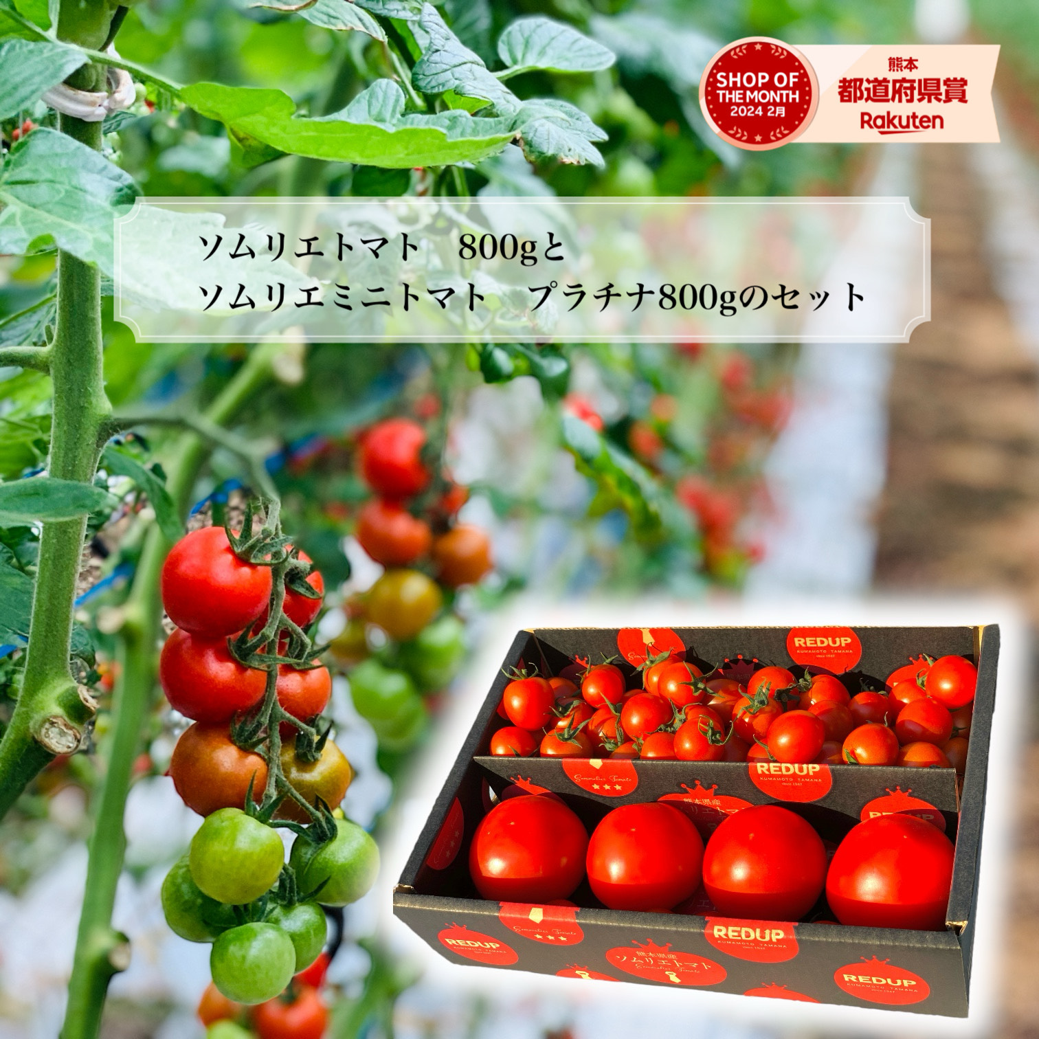 楽天市場】ギフト プレゼント《プチルージュ1.2Kg（150g×8パック