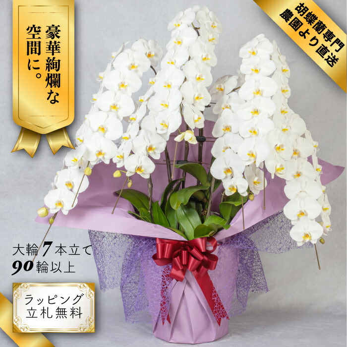 税込 胡蝶蘭 7本立ち 大輪 90輪以上 送料無料 白 母の日 葵宝 開店祝い 昇進祝い 誕生日 長寿祝い 還暦 記念日 慶弔 お祝い 贈り物 当選祝い ギフト お供え 農園直送 ボリュームがあり花持ちが良い Fucoa Cl