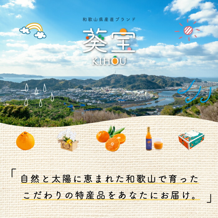 胡蝶蘭7本立ち大輪100輪以上送料無料ピンク母の日葵宝開店祝い昇進祝い誕生日長寿祝い還暦記念日慶弔お祝い贈り物当選祝いギフト農園直送ボリュームがあり花持ちが良い