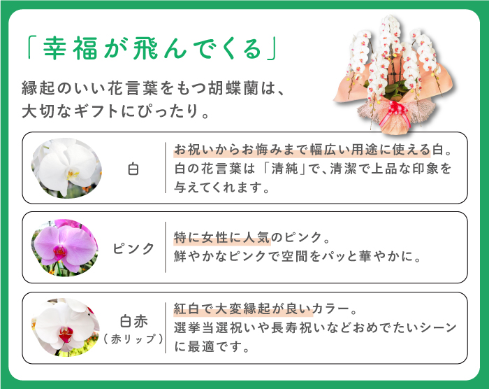 最安値に挑戦 胡蝶蘭 10本立ち 大輪 140輪以上 送料無料 白赤 当選祝い 紅白 赤リップ 葵宝 開店祝い 昇進祝い 誕生日 長寿祝い 還暦 記念日 慶弔 お祝い 贈り物 ギフト 農園直送 ボリュームがあり花持ちが良い Fucoa Cl