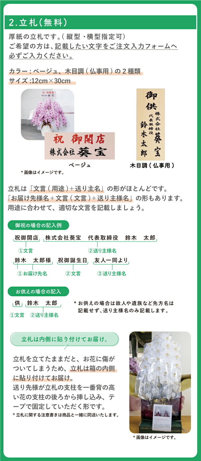 胡蝶蘭7本立ち大輪100輪以上送料無料ピンク母の日葵宝開店祝い昇進祝い誕生日長寿祝い還暦記念日慶弔お祝い贈り物当選祝いギフト農園直送ボリュームがあり花持ちが良い