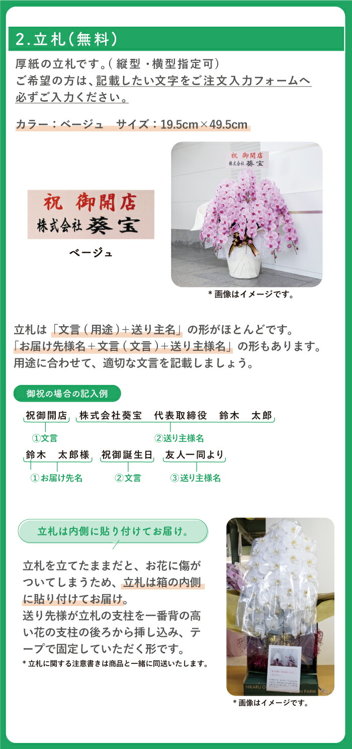 贅沢 胡蝶蘭 本立ち 大輪 270輪以上 送料無料 白 当選祝い 葵宝 開店祝い 昇進祝い 誕生日 長寿祝い 還暦 記念日 慶弔 お祝い 贈り物 ギフト お供え 農園直送 ボリュームがあり花持ちが良い Fucoa Cl