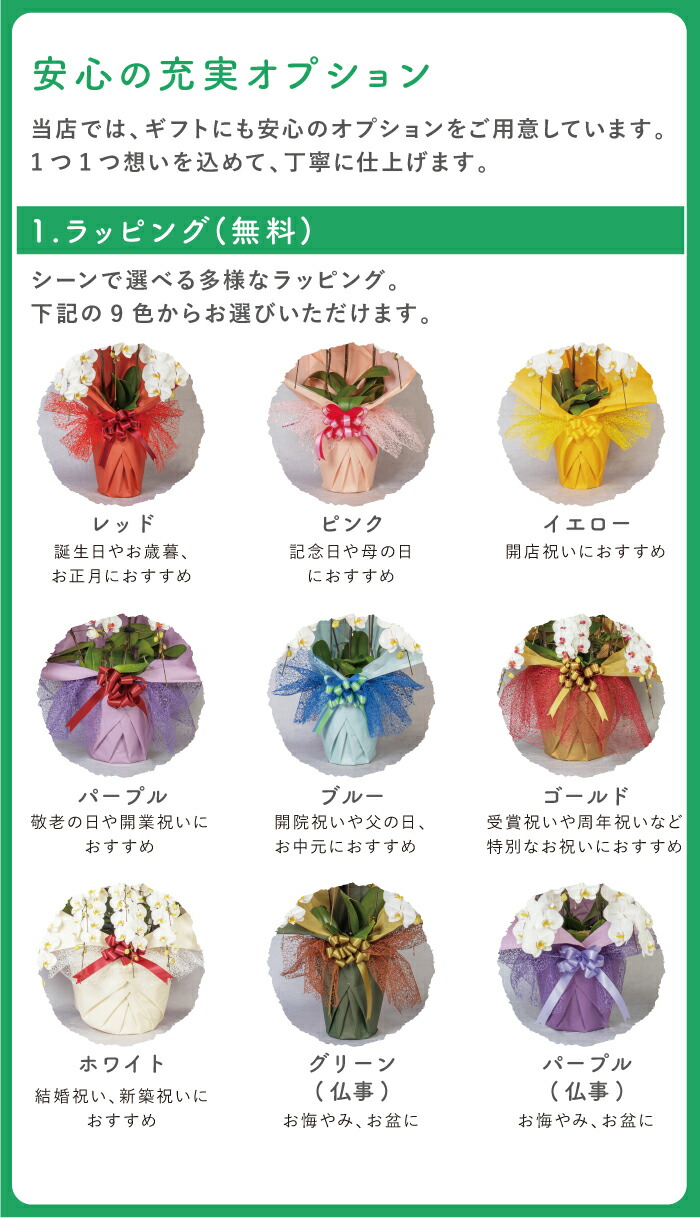 胡蝶蘭7本立ち大輪100輪以上送料無料ピンク母の日葵宝開店祝い昇進祝い誕生日長寿祝い還暦記念日慶弔お祝い贈り物当選祝いギフト農園直送ボリュームがあり花持ちが良い