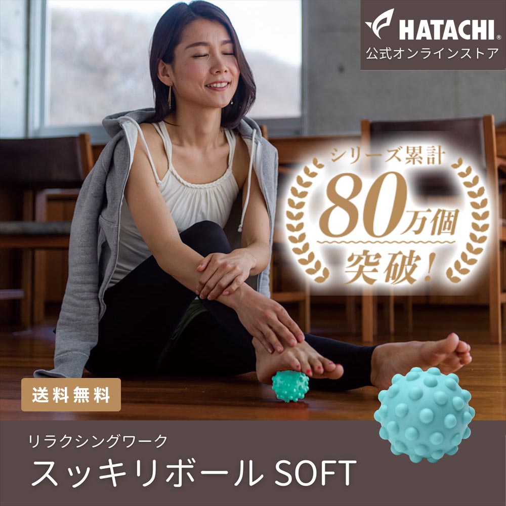 楽天市場】【公式】 HATACHI リセットMOON TWINS RelaxingWork