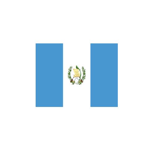グアテマラ Guatemala オーダー 国旗 外国旗 卓上旗 旗 フラッグ 160か国対応 ~サイズ、素材によりお値段が変わります |旗の村松・手芸の村松