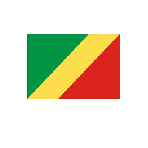 コンゴ共和国 Congo オーダー 国旗 外国旗 卓上旗 旗 フラッグ 160か国対応 ～サイズ、素材によりお値段が変わります