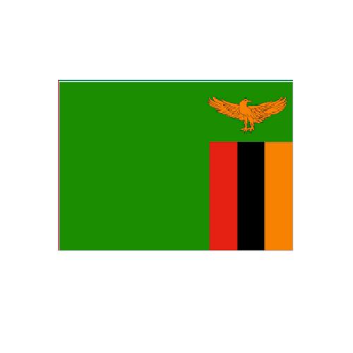 ザンビア Zambia オーダー 国旗 外国旗 卓上旗 旗 フラッグ 160か国対応 ～サイズ、素材によりお値段が変わります