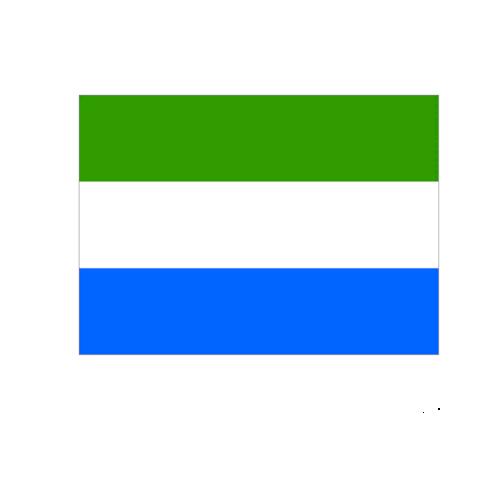 シエラレオネ sierraleone オーダー 国旗 外国旗 卓上旗 旗 フラッグ 160か国対応 ～サイズ、素材によりお値段が変わります ｜旗の村松・手芸の村松