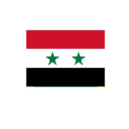 シリア Syria オーダー 国旗 外国旗 卓上旗 旗 フラッグ 160か国対応 ~サイズ、素材によりお値段が変わります |旗の村松・手芸の村松