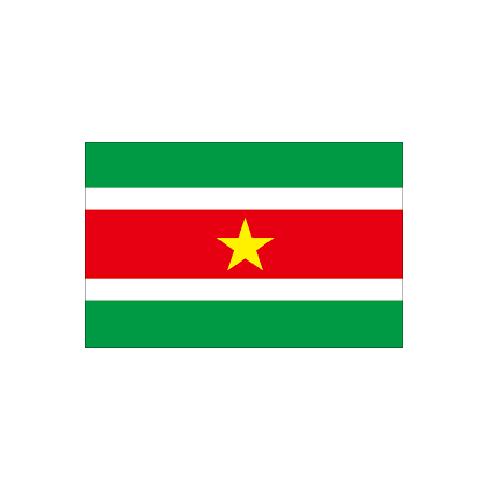 スリナム Suriname オーダー 国旗 外国旗 卓上旗 旗 フラッグ 160か国対応 ~サイズ、素材によりお値段が変わります |旗の村松・手芸の村松