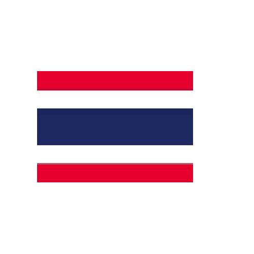 タイ Thailand オーダー 国旗 外国旗 卓上旗 旗 フラッグ 160か国対応 ～サイズ、素材によりお値段が変わります