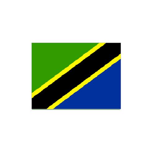 タンザニア Tanzania オーダー 国旗 外国旗 卓上旗 旗 フラッグ 160か国対応 ～サイズ、素材によりお値段が変わります
