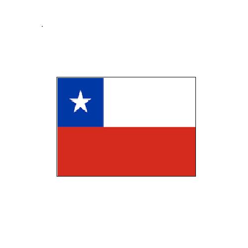 チリ Chile オーダー 国旗 外国旗 卓上旗 旗 フラッグ 160か国対応 ～サイズ、素材によりお値段が変わります