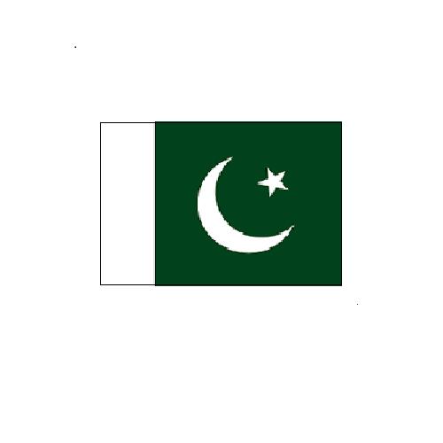 パキスタン Pakistan オーダー 国旗 外国旗 卓上旗 旗 フラッグ 160か国対応 ～サイズ、素材によりお値段が変わります