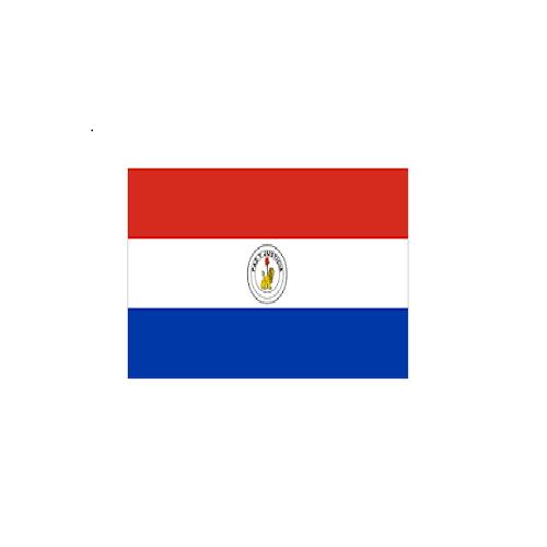 パラグアイ Paraguay オーダー 国旗 外国旗 卓上旗 旗 フラッグ 160か国対応 ～サイズ、素材によりお値段が変わります ｜旗の村松・手芸の村松