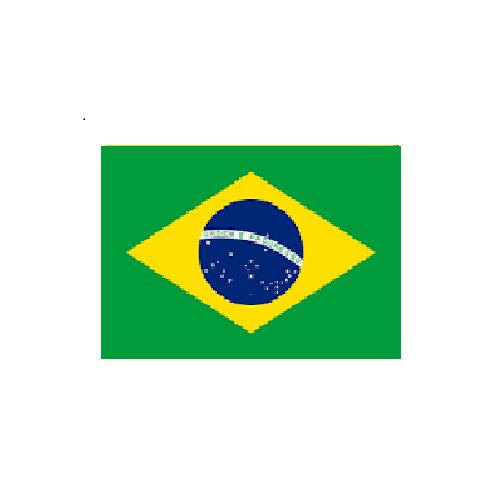 ブラジル Brazil オーダー 国旗 外国旗 卓上旗 旗 フラッグ 160か国対応 ～サイズ、素材によりお値段が変わります