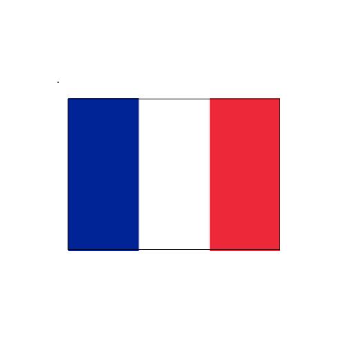 フランス Franceオーダー 国旗 外国旗 卓上旗 旗 フラッグ 160か国対応 ~サイズ、素材によりお値段が変わります |旗の村松・手芸の村松