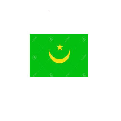 モーリタニア Mauritania オーダー 国旗 外国旗 卓上旗 旗 フラッグ 160か国対応 ~サイズ、素材によりお値段が変わります |旗の村松・手芸の村松
