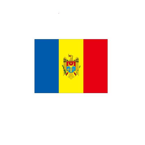 モルドバ Moldova オーダー 国旗 外国旗 卓上旗 旗 フラッグ 160か国対応 ～サイズ、素材によりお値段が変わります ｜旗の村松・手芸の村松 39,000円