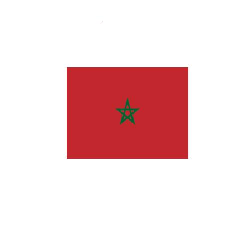 モロッコ Morocco オーダー 国旗 外国旗 卓上旗 旗 フラッグ 160か国対応 ~サイズ、素材によりお値段が変わります |旗の村松・手芸の村松