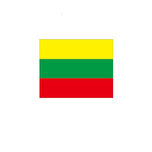リトアニア Lithuania オーダー 国旗 外国旗 卓上旗 旗 フラッグ 160か国対応 ～サイズ、素材によりお値段が変わります 6,290円