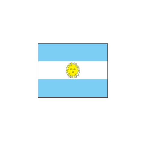 アルゼンチン Argentina オーダー 国旗 外国旗 卓上旗 旗 フラッグ 160か国対応 ～サイズ、素材によりお値段が変わります