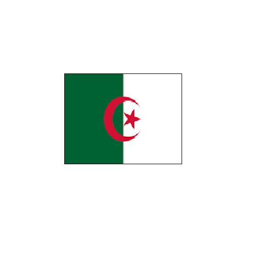 アルジェリア Algeria オーダー 国旗 外国旗 卓上旗 旗 フラッグ 160か国対応 ~サイズ、素材によりお値段が変わります |旗の村松・手芸の村松