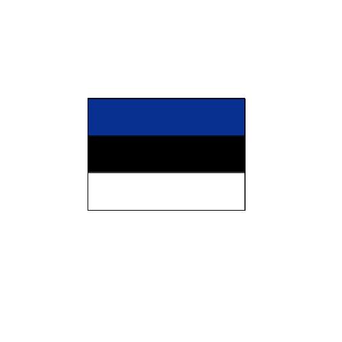 エストニア Estonia オーダー 国旗 外国旗 卓上旗 旗 フラッグ 160か国対応 ~サイズ、素材によりお値段が変わります |旗の村松・手芸の村松