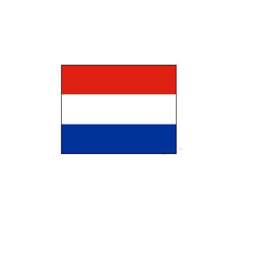 オランダ Netherlands オーダー 国旗 外国旗 卓上旗 旗 フラッグ 160か国対応 ～サイズ、素材によりお値段が変わります 6,460円