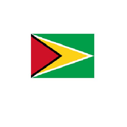ガイアナ Guyanaオーダー 国旗 外国旗 卓上旗 旗 フラッグ 160か国対応 ~サイズ、素材によりお値段が変わります |旗の村松・手芸の村松