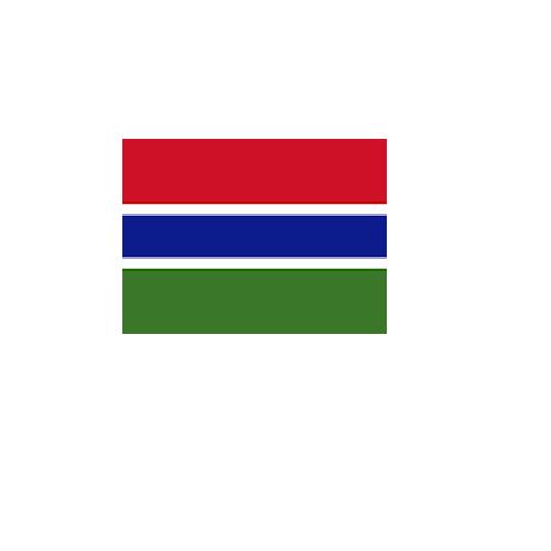 ガンビア gambia オーダー 国旗 外国旗 卓上旗 旗 フラッグ 160か国対応 ～サイズ、素材によりお値段が変わります