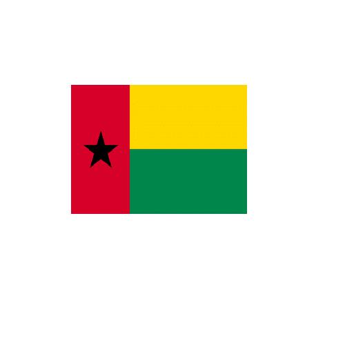 ギニアビサウ Guinea Bissau オーダー 国旗 外国旗 卓上旗 旗 フラッグ 160か国対応 ~サイズ、素材によりお値段が変わります |旗の村松・手芸の村松