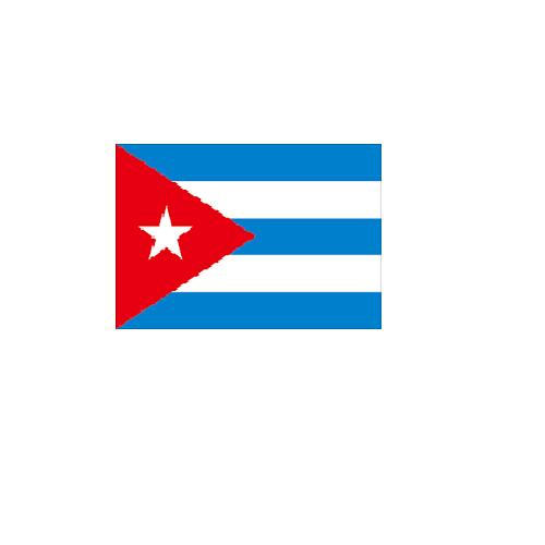 キューバ cuba オーダー 国旗 外国旗 卓上旗 旗 フラッグ 160か国対応 ~サイズ、素材によりお値段が変わります |旗の村松・手芸の村松