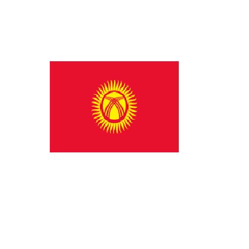 キルギス Kyrgyzstan オーダー 国旗 外国旗 卓上旗 旗 フラッグ 160か国対応 ~サイズ、素材によりお値段が変わります |旗の村松・手芸の村松