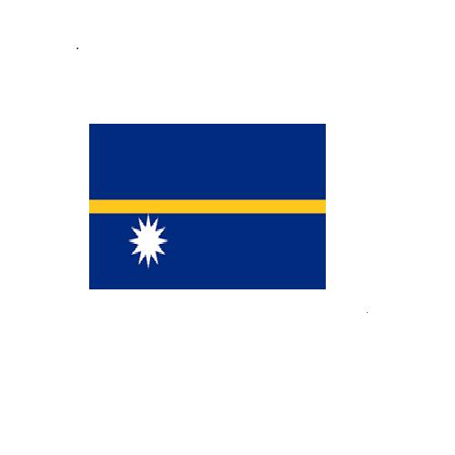 ナウル Nauru オーダー 国旗 外国旗 卓上旗 旗 フラッグ 160か国対応 ～サイズ、素材によりお値段が変わります