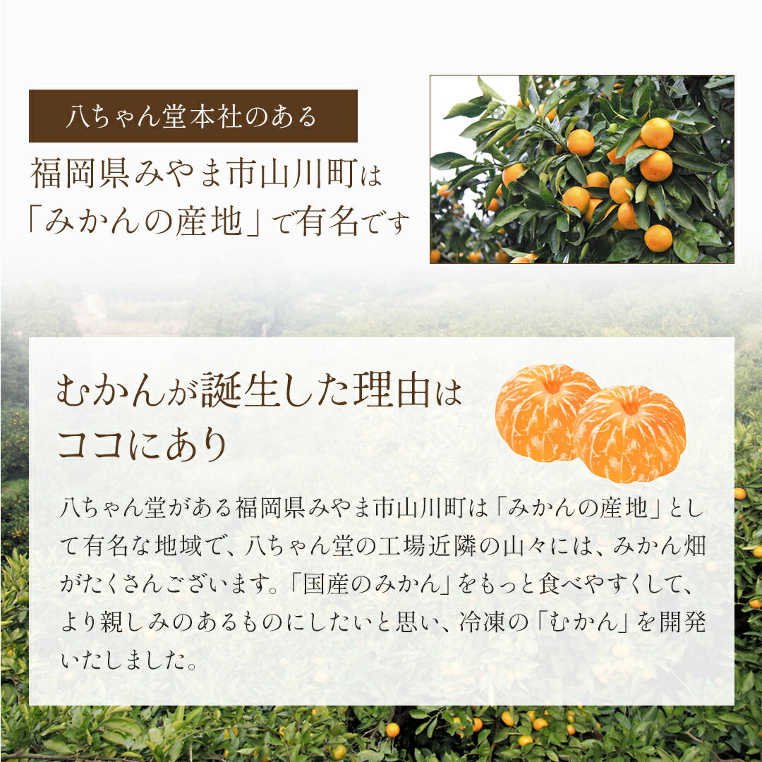 ２枚。honeyegg❤みかん❤超贅沢プレミアムミンク★超極暖Wボア⭐ ひとくちむかん 500g ［外皮をむいた冷凍みかん むかん 冷凍