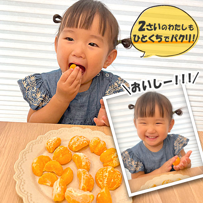 ２枚。honeyegg様専用❤みかん❤超贅沢プレミアムミンク☆超極暖Wボア⭐ インテリア・生活道具