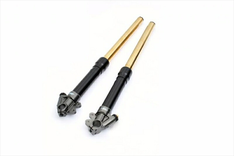 バイク用品 ハイパープロ AH1フォークVer1.2 43mmインナーGLD 800mm CB1300SF 03-16/CB1300SB 05-16 AH1GBT13-1.2 4538792914039 取寄品