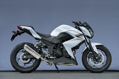 バイク用品 マフラー ヤマモトレーシング ヤマモト.R ステン スリップオン TYPE-S Z250 13- 40253-01NSN 4521717301014