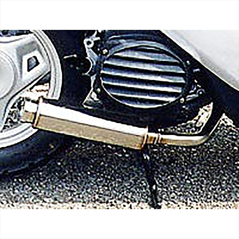バイクパーツ マフラー ウイルズウィン ロッドサイレンサー 962-55-01 4547567450726 SMART DIO Z4