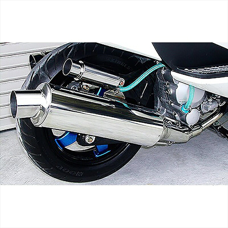 バイクパーツ マフラー ウイルズウィン コンビネーションマフラー 322-03-01 4547424278210 SKYWAVE250(CJ43)