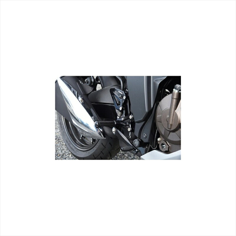 バイクパーツ WOODSTOCK(ウッドストック) バックステップキット オールSLV WBS-S21-SL 4550255762216 ジクサーSF250/ジクサー250 20-21