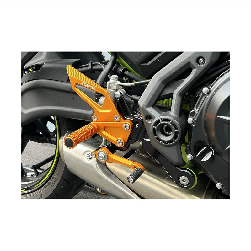 まれており ステップ バックステップ 金 Z650RS NINJA650 Z650SP0158GD 4589993475263取寄品:バイク用品はとやグループ2号店 リング