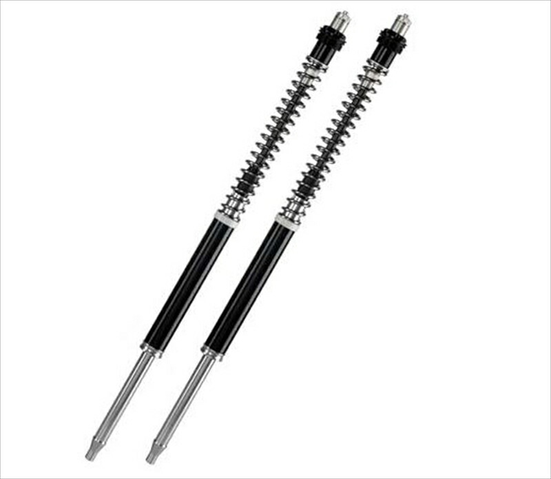 カートリッジキット F15K showa製フォーク用Rebel1100 F15H265K 4580365749302 取寄品